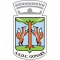Comunale Gonars logo