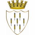 Calcio Comunale Basiliano logo