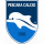 logo Pescara U19