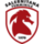 logo Salernitana Femminile