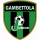logo Junior Gambettola