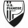 logo Pianese