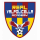 logo Real Valpolicella Academy