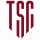 logo Torresavio