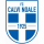 logo Calvi Noale